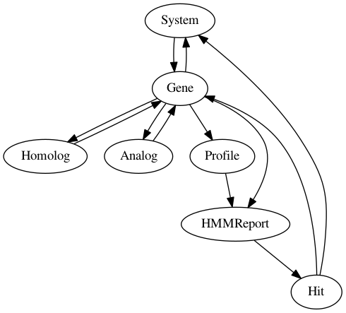 digraph system_overview {
"System" -> "Gene" -> "Homolog";
"Gene" -> "System";
"Homolog" -> "Gene";
"Gene" -> "Analog";
"Analog" -> "Gene";
"Gene" -> "Profile";
"Gene" -> "HMMReport" -> "Hit";
"Hit" -> "Gene";
"Hit" -> "System";
"Profile" -> "HMMReport";
}